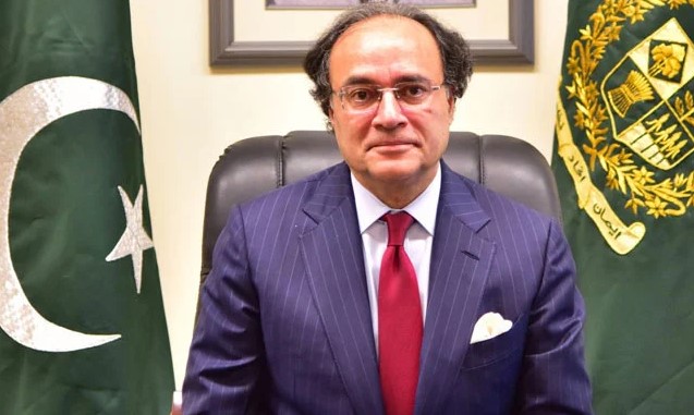 معیشت کے استحکام کے لیے چینی سرمایہ کاری ناگزیر:وزیر خزانہ